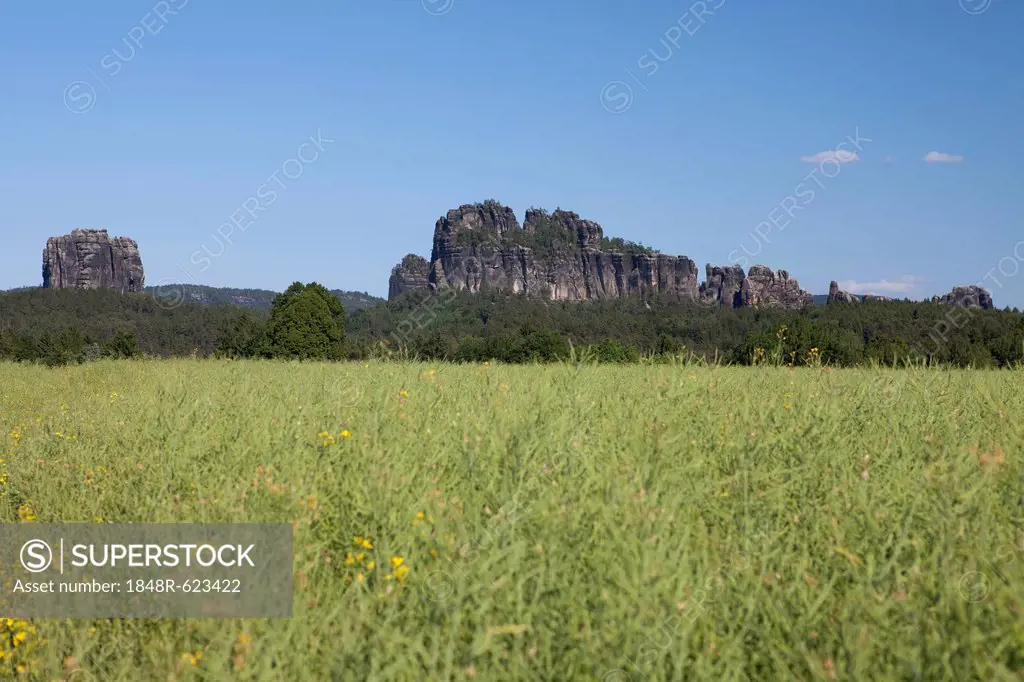 Schrammsteine, jagged group of rocks, ridge, and Falkenstein rock, Elbe Sandstone Mountains, Saxony, Germany, Europe