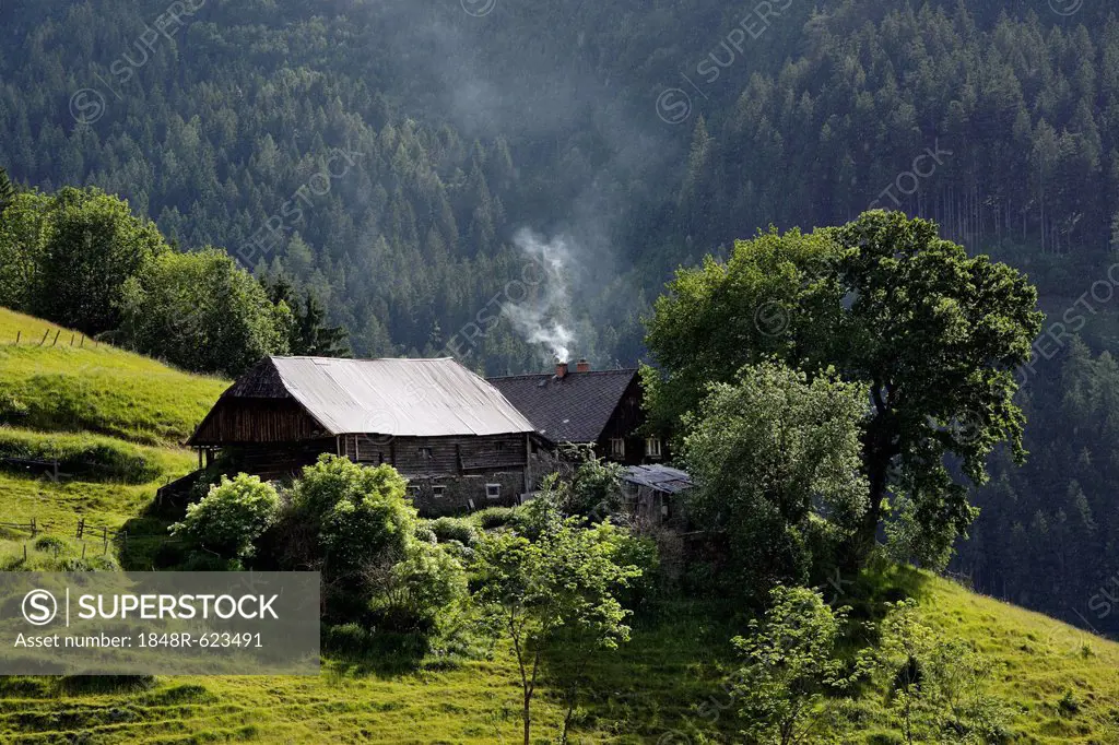 Old mountain farmhouse near Trieben, Niedere Tauern or Low Tauern range, Upper Styria, Styria, Austria, Europe