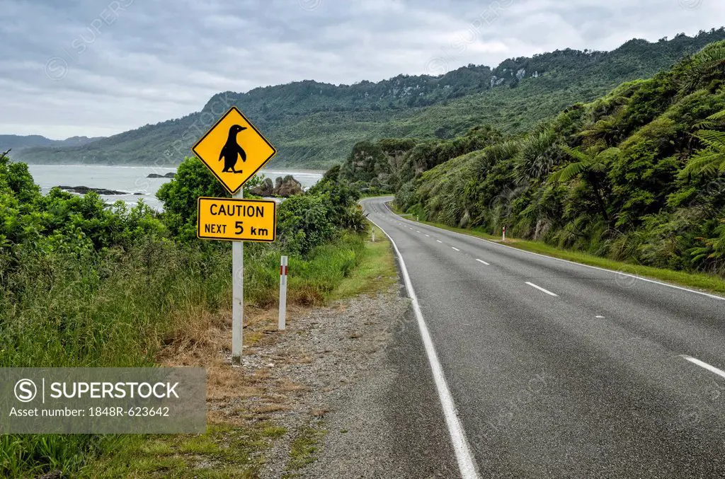 Coastal road in the Paparoa National Park, West Coast, South Island, New Zealand, Oceania