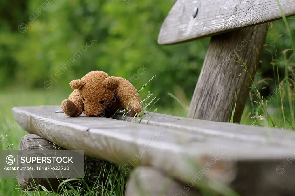 Forgotten teddy bear on a wooden bench