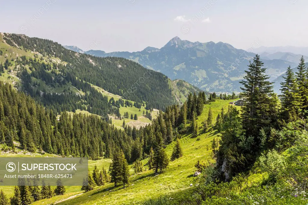 Mt Taubenstein near Spitzingsee Lake, Mt Wendelstein, 1838m, at back, Mangfall Mountains, Alps, Bavaria, Germany, Europe