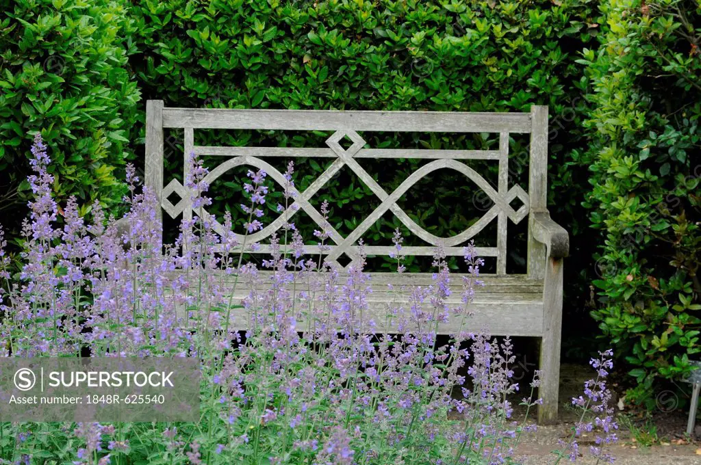 Wooden bench in a park, a Wisley Garden, South West England, United Kingdom, Europe