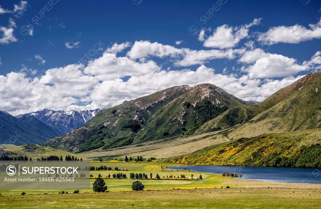 Mountains and meadows, Craigieburn Range, Porters Pass, Canterbury, South Island, New Zealand, Oceania