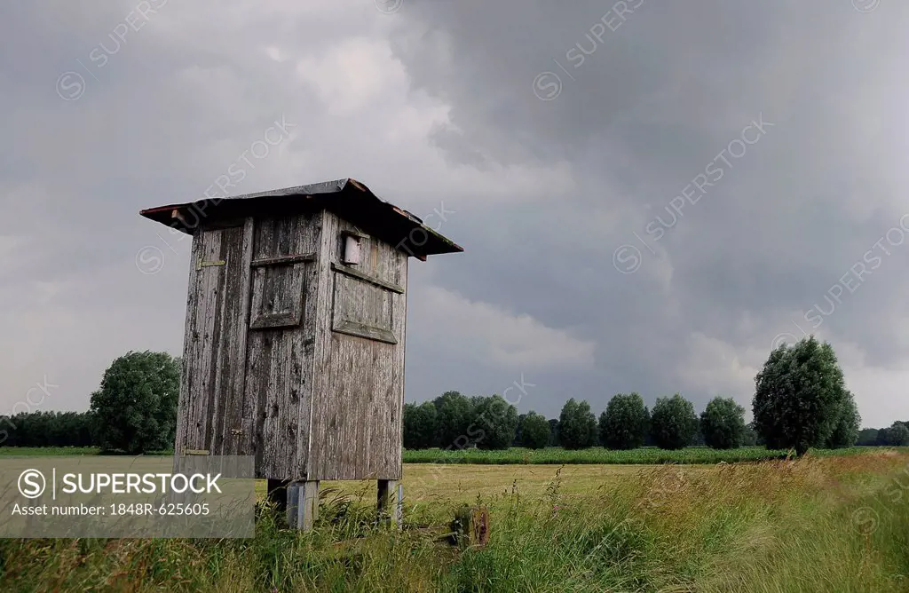 Raised hide in front of storm clouds, Tangstedt, Schleswig-Holstein, Germany, Europe