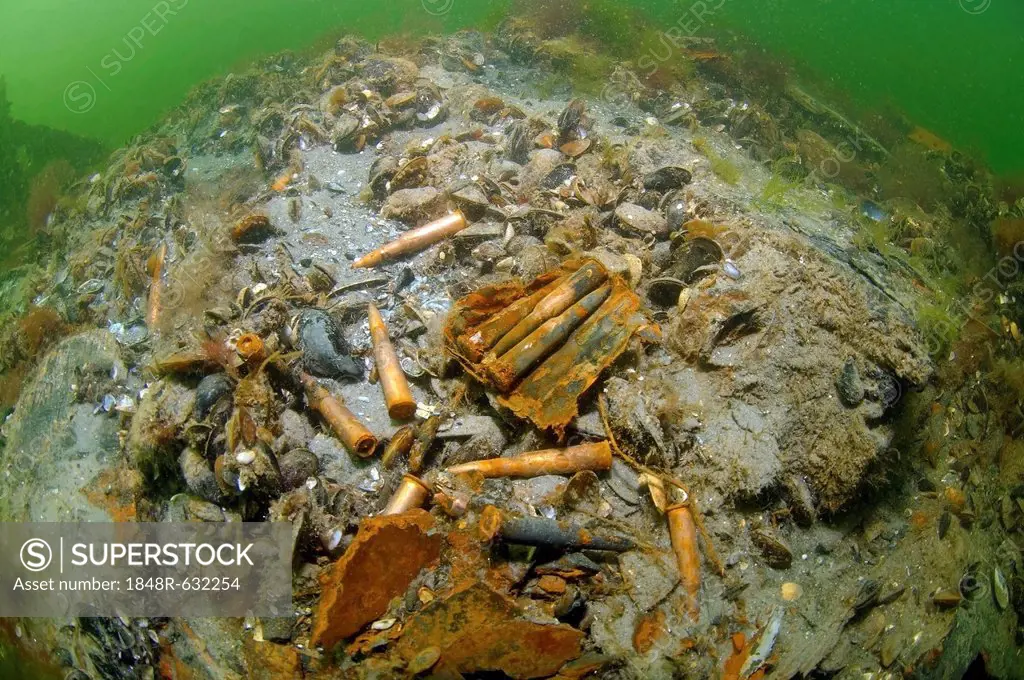 Ammunition, cartridges, bullets, underwater wreck, mine trawler Collective farmer, Black Sea, Ukraine, Europe