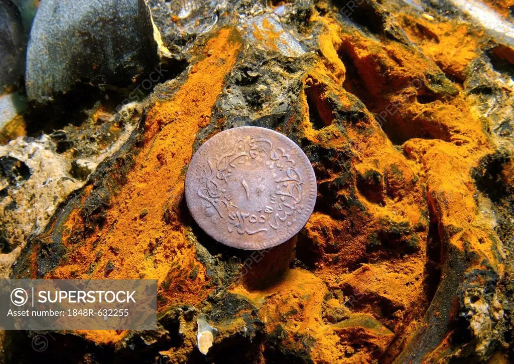 Turkish coin, ship wreck, sailing vessel of the XIXth century, off island of Zmeiny, Black Sea, Ukraine, Europe