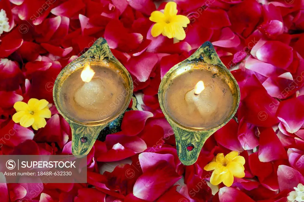 Oil lamps, rose petals, Rishikesh, Uttaranchal, North India, India, Asia