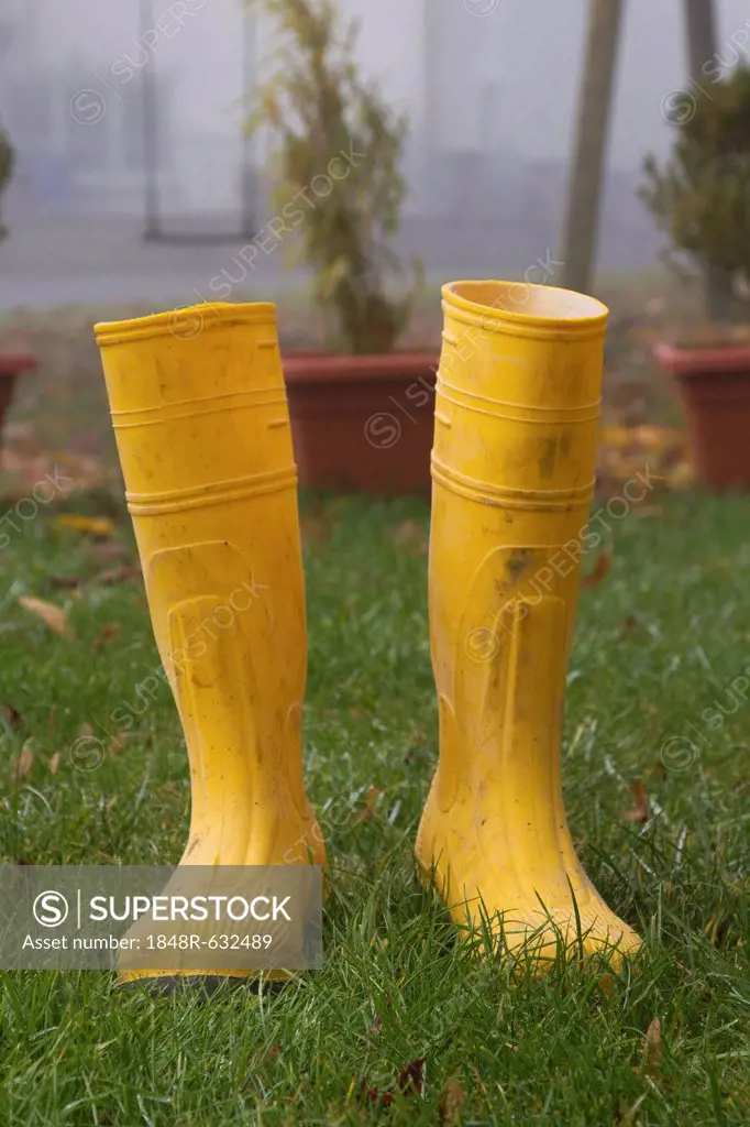 Pair of yellow rubber boots in the garden