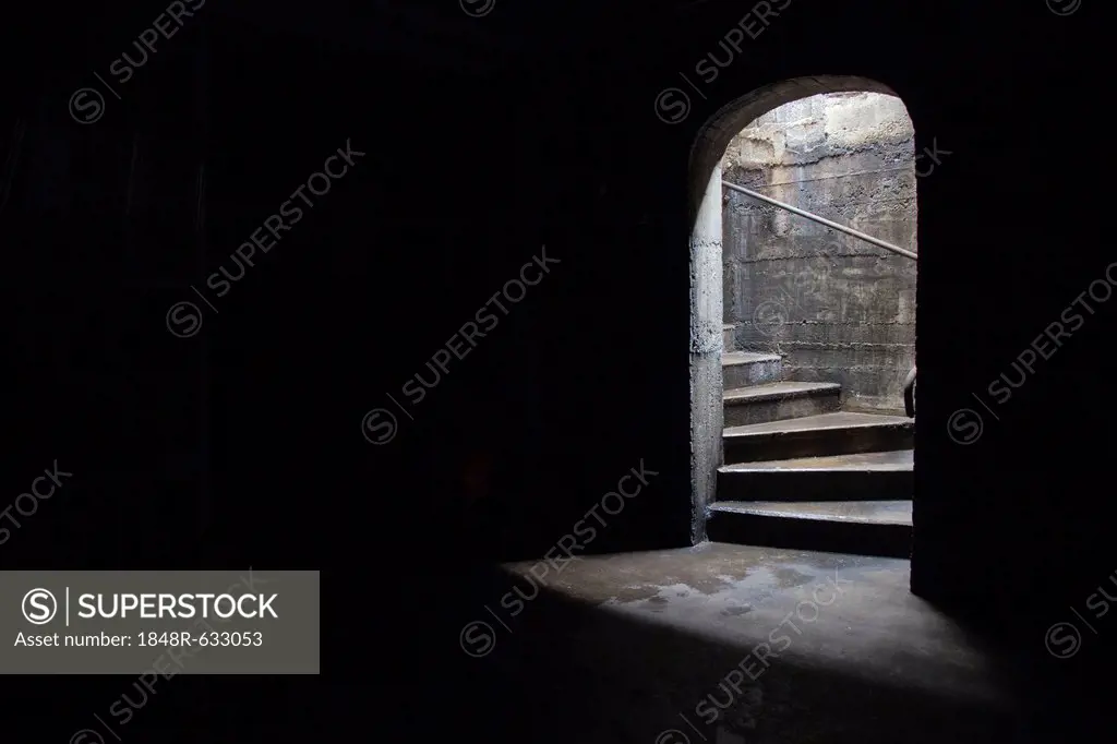 Stair leading to a dark cellar or basement