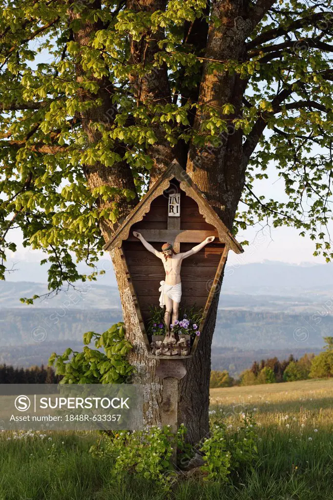 Wayside crucifix, Hohenpeissenberg, Pfaffenwinkel, Upper Bavaria, Bavaria, Germany, Europe