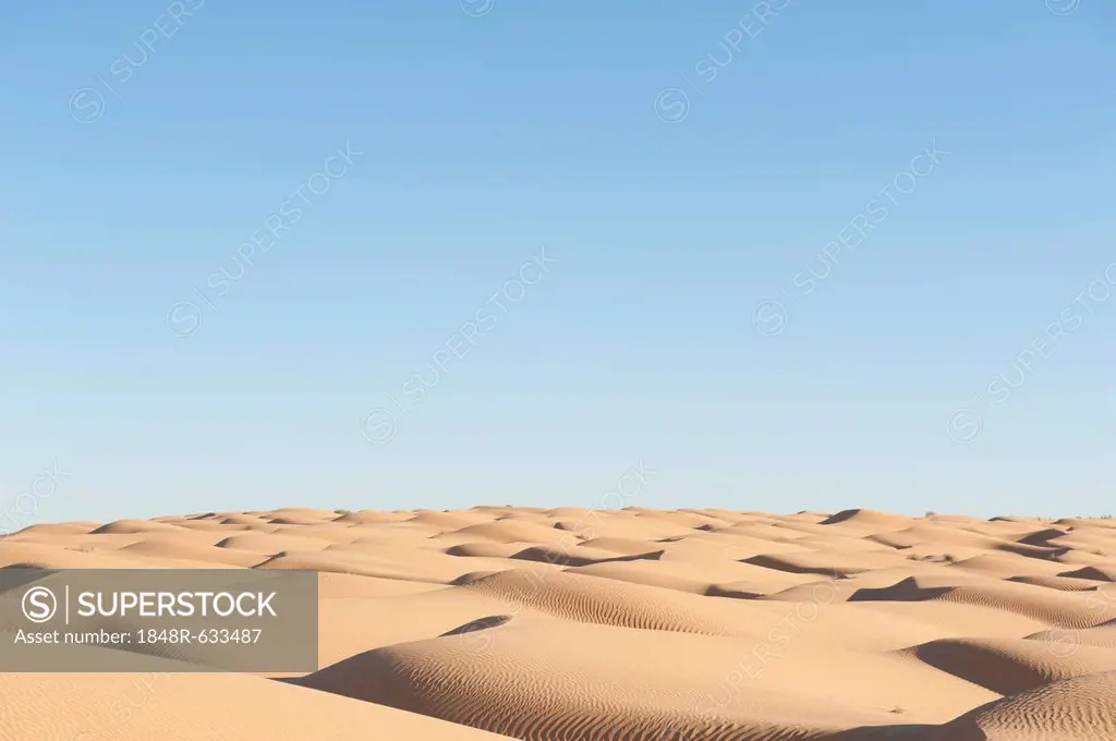 Solitude, blue sky, sand dunes, Sahara desert between Douz and Ksar Ghilane, Southern Tunisia, Tunisia, Maghreb, North Africa, Africa