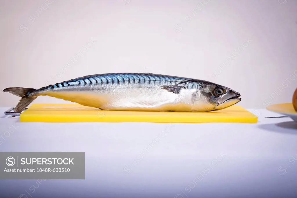 A fish on a cutting board