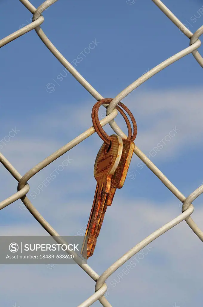 Rusty keys, key ring, wire-mesh fence