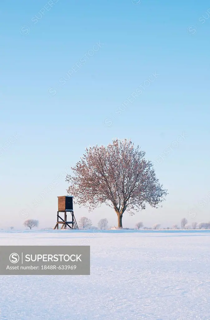 Winter landscape with a tree and a deerstand, Lower Saxony, Germany, Europe