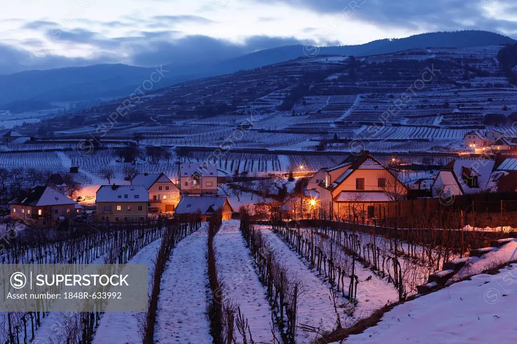 Snow-covered vineyards in the evening twilight, Weissenkirchen in Wachau, Waldviertel, Forest Quarter, Lower Austria, Austria, Europe
