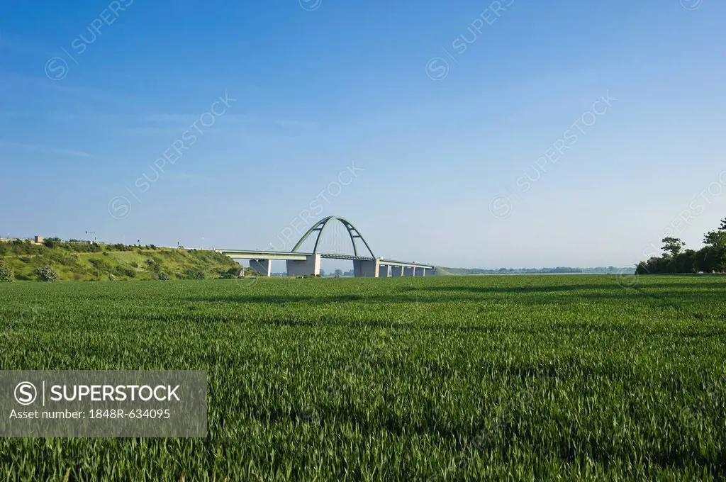 Fehmarn Sound Bridge, Fehmarn island, Baltic Sea, Schleswig-Holstein, Germany, Europe