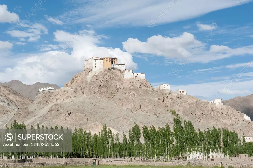 Tibetan Buddhist monastery on a hill, Thikse Monastery near Leh, a row of poplars, Ladakh region, Jammu and Kashmir, India, South Asia, Asia