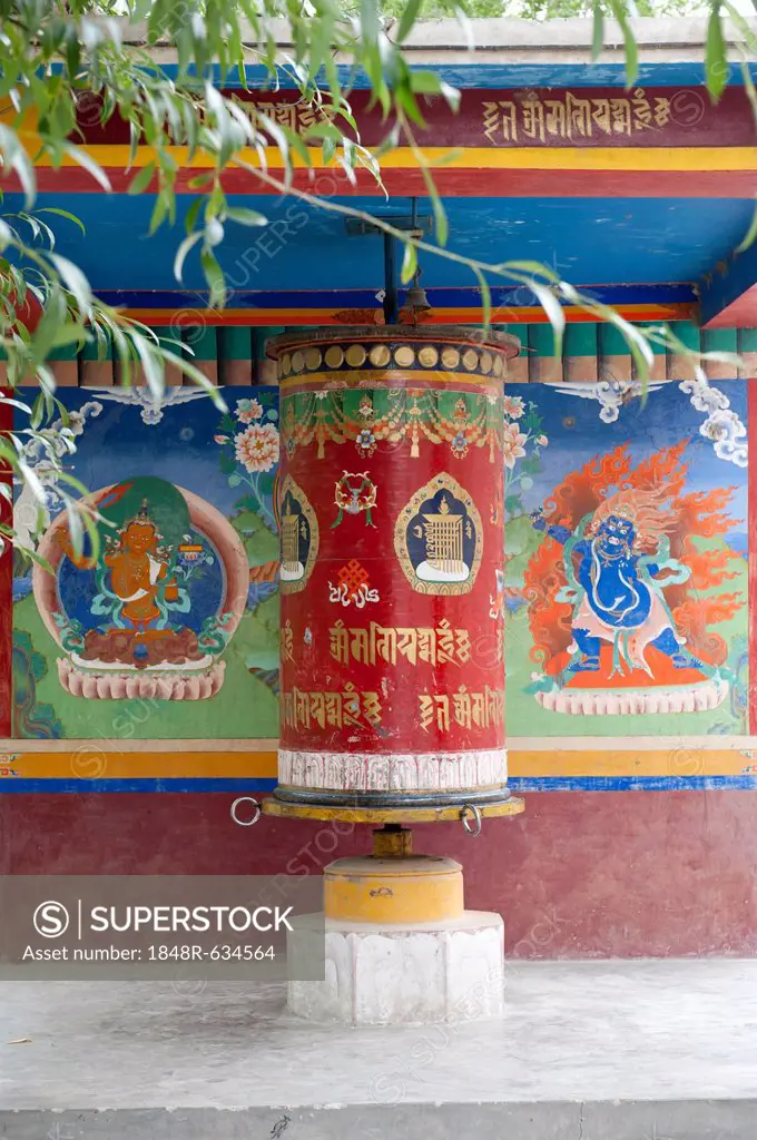 Tibetan Buddhism, large colorful prayer wheel, mural paintings, below the Spituk Monastery near Leh, Spituk Gompa, Ladakh region, Jammu and Kashmir, I...