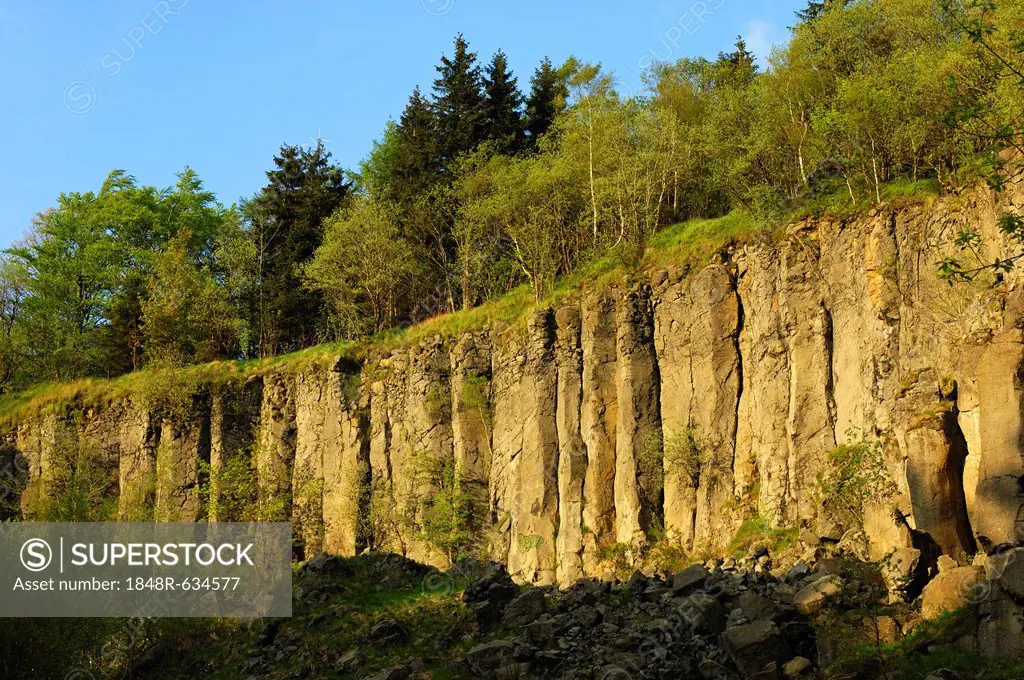 Natural monument of basalt columns, also called churns, on Poehlberg mountain, Annaberg-Buchholz, Erzgebirge, Saxony, Germany, Europe