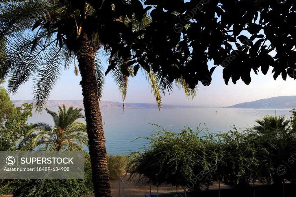 Sea of Galilee, also Kinneret, Lake of Gennesaret, or Lake Tiberias, Israel, Middle East