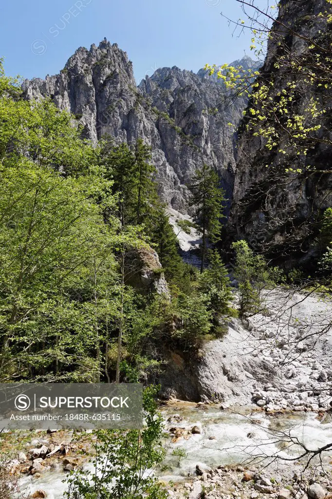 Johnsbach creek, Gesaeuse National Park, Ennstal Alps, Upper Styria, Styria, Austria, Europe