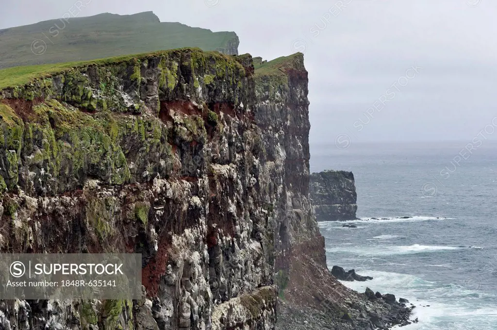 Cliffs of Látrabjarg, Westfjords or West Fjords, Iceland, Europe