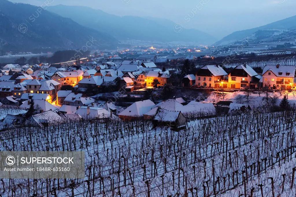 Snow-covered vineyards in the evening twilight, Weissenkirchen in Wachau, Waldviertel, Forest Quarter, Lower Austria, Austria, Europe