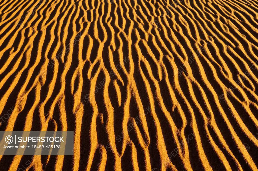 Sand patterns on a dune, In Tehak region, Acacus Mountains or Tadrart Acacus range, Tassili n'Ajjer National Park, Unesco World Heritage Site, Algeria...