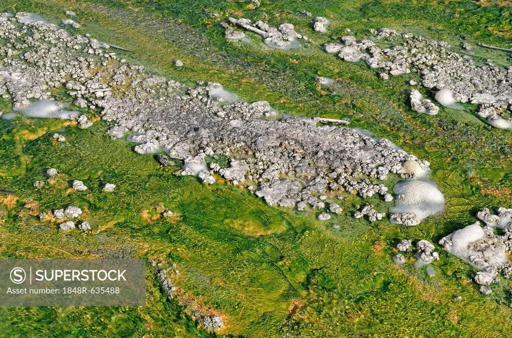 Effluent stream of the Pinwheel Geyser, Porcelain Basin, Norris Geyser Basin, Yellowstone National Park, Wyoming, USA