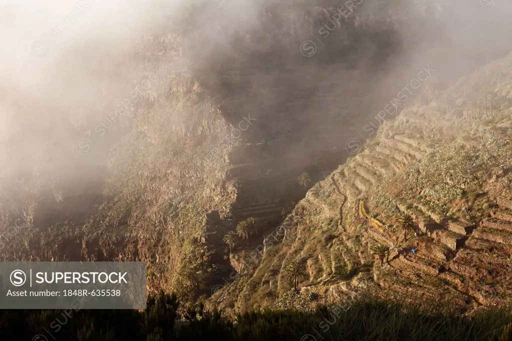 Mist rolling into the Valle Gran Rey, La Gomera, Canary Islands, Spain, Europe