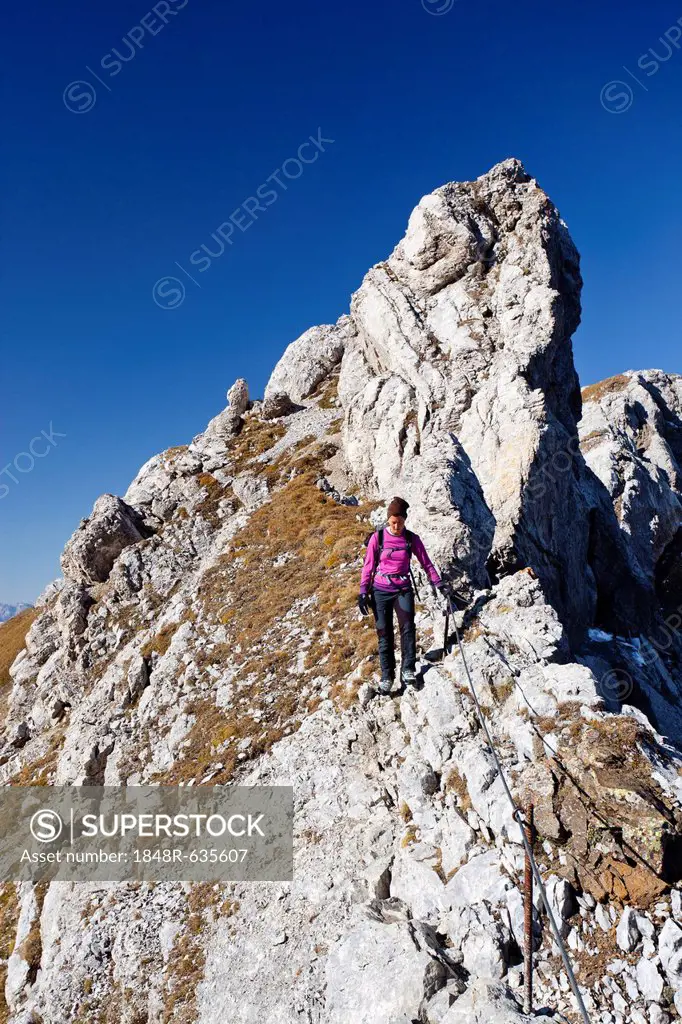 Climber on Bepi Zac climbing route in San Pellegrino Valley above the San Pellegrino Pass, Dolomites, Trentino, Italy, Europe