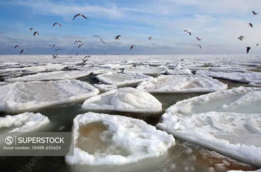 Frozen Black Sea, a rare phenomenon, Odessa, Ukraine, Eastern Europe