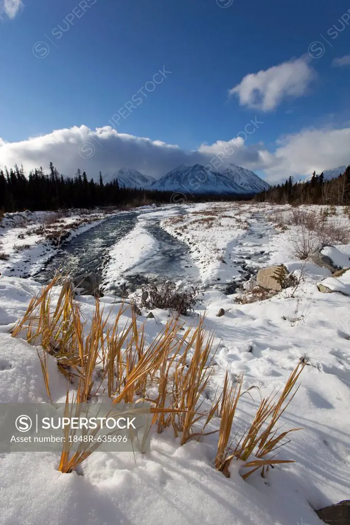 First snow at Quill Creek, St. Elias Mountains, Kluane Range behind, Kluane National Park and Reserve, Yukon Territory, Canada