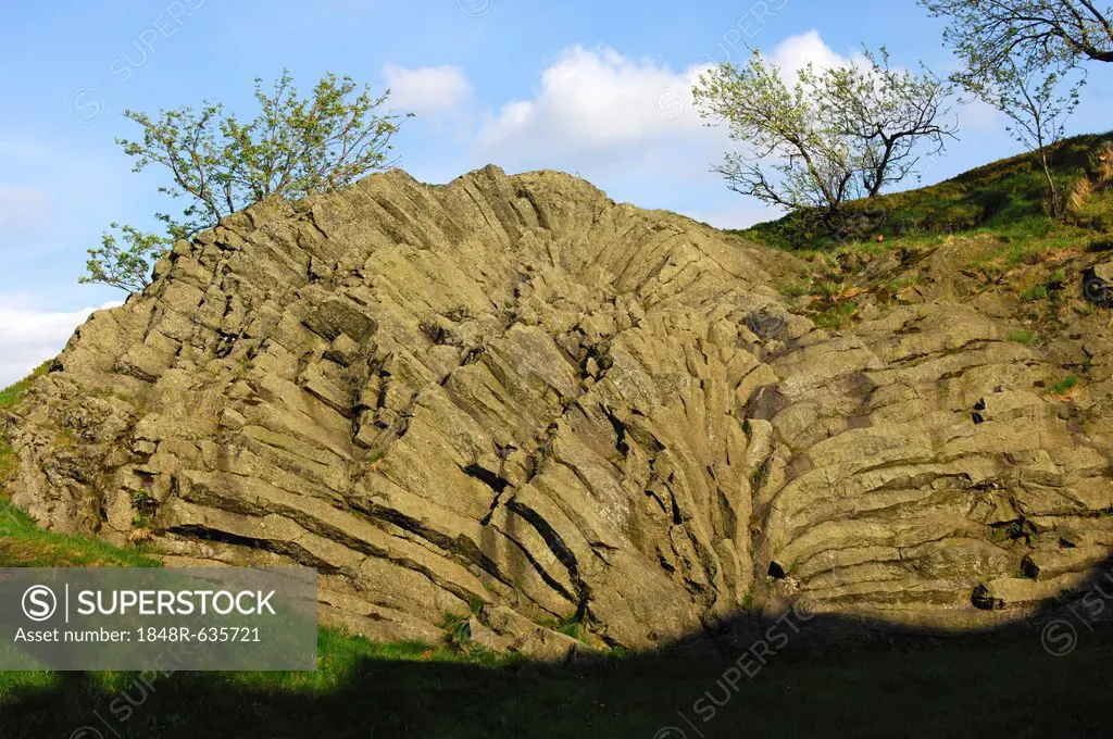 Geotope palm leaf, fan-shaped basalt formation on Hirtstein Mountain, Erzgebirge, Saxony, Germany, Europe