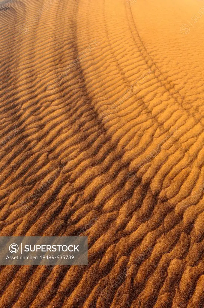 Sand patterns on the surface of a dune, Dunes Noires, Tadrart, Tassili n'Ajjer National Park, Algeria, Sahara, North Africa