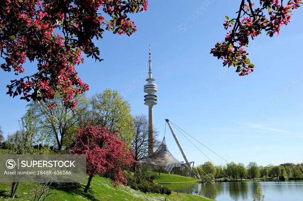 Olympiaturm Tower, TV Tower, Olympiapark, Munich, Bavaria, Germany, Europe, PublicGround
