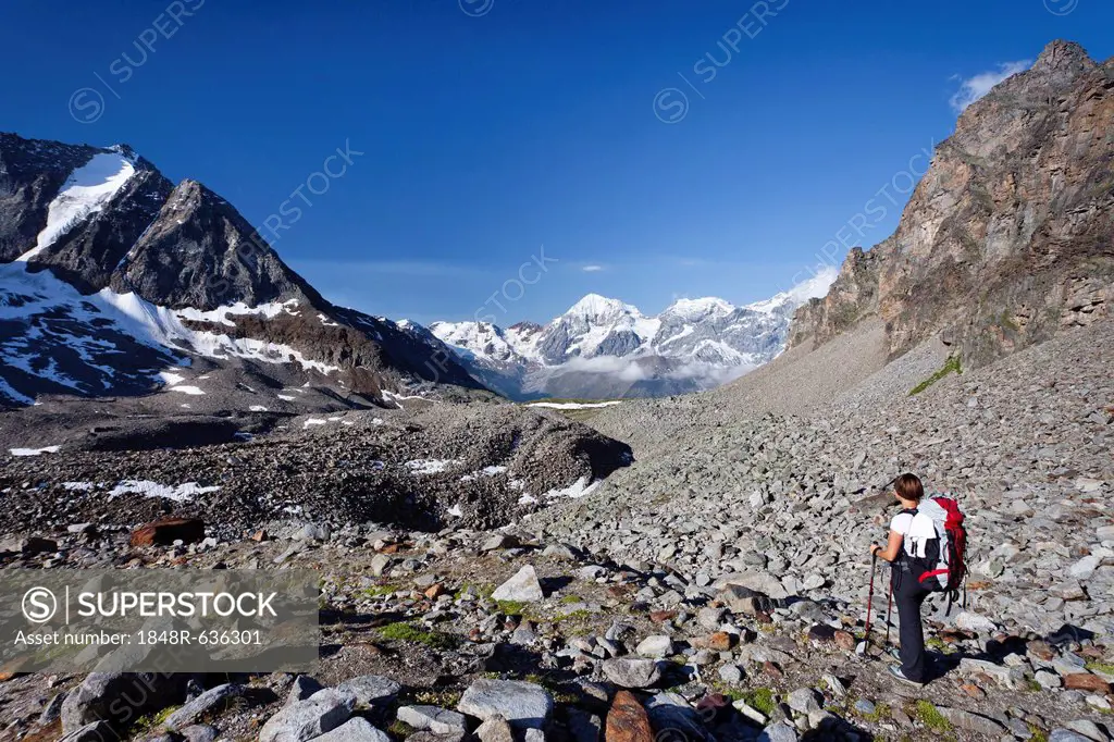 Hiker during ascent of Mt Tschenglser Hochwand above Duesseldorfer Huette hut in Sulden, Mt Vertainspitze, Mt Koenigsspitze and Mt Zebru at back, Suld...