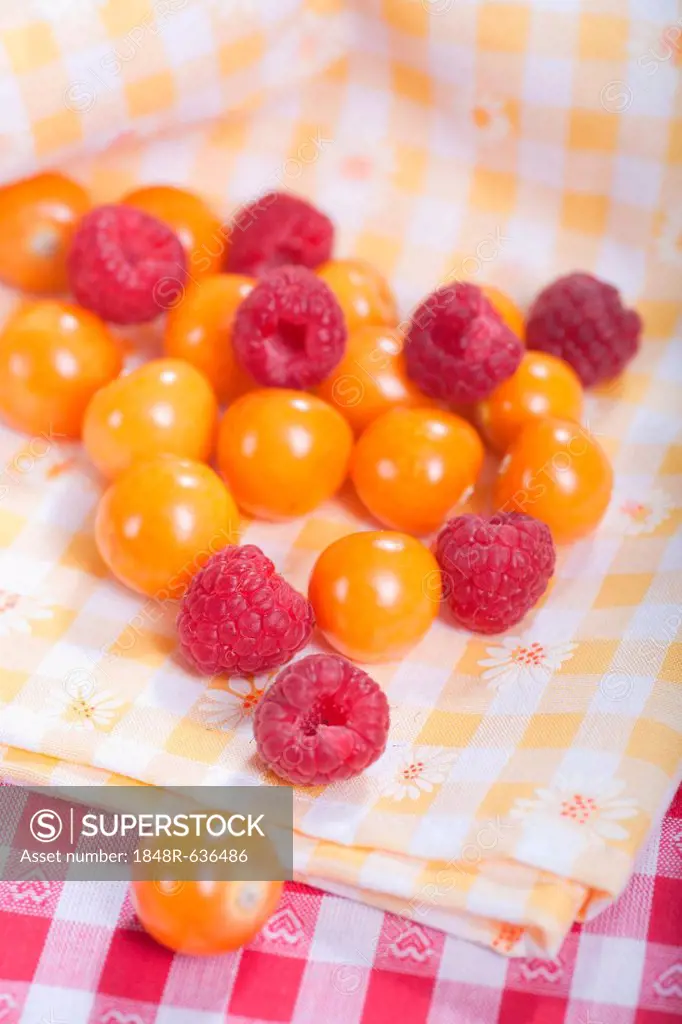 Physalis or Cape Gooseberry and raspberries