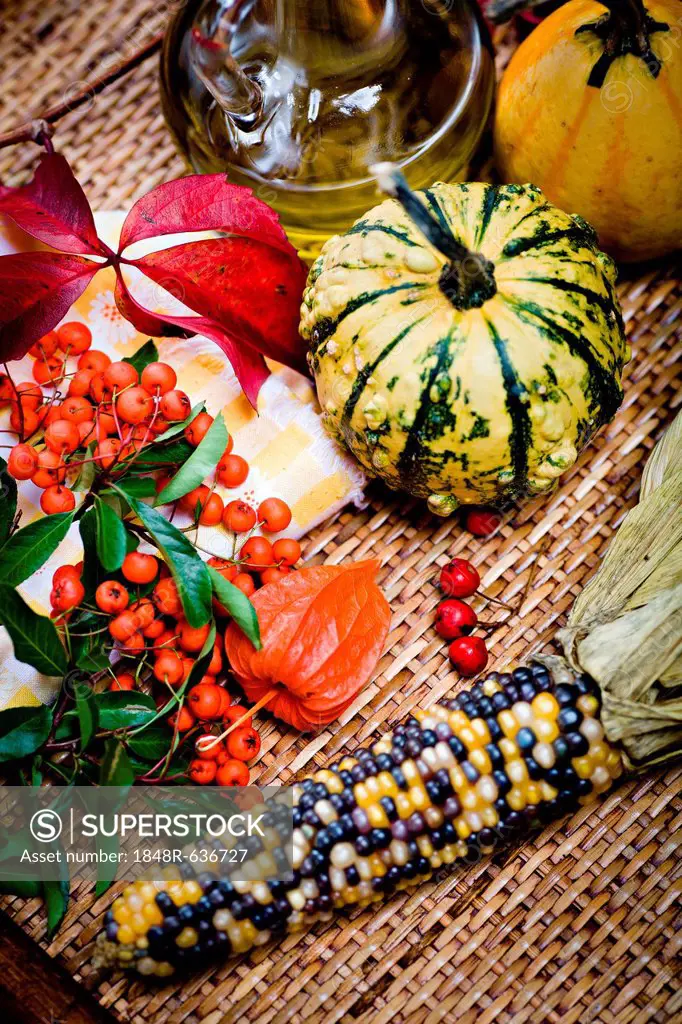 Gourds, corn cob, lantern flowers or physalis, red berries