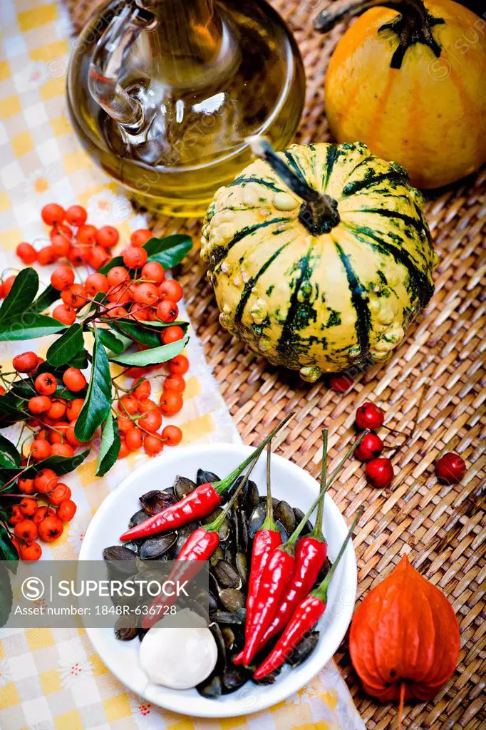 Gourds, pumpkin seeds, chili peppers, lantern flower or physalis, red berries