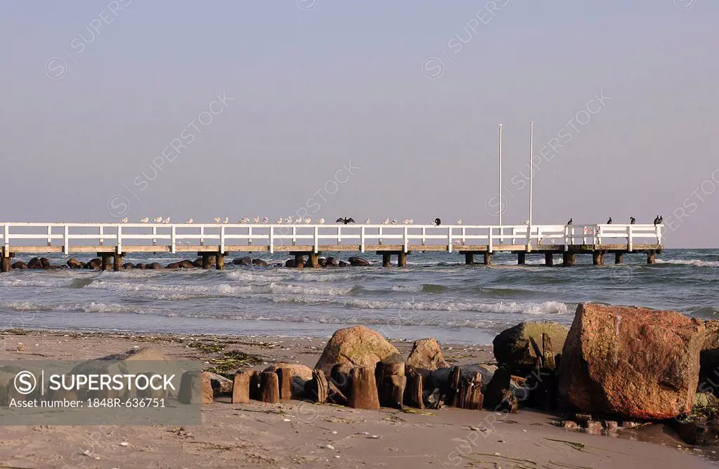 Groemitz pier with breakwaters, Baltic Sea, Groemitz, Schleswig-Holstein, Germany, Europe