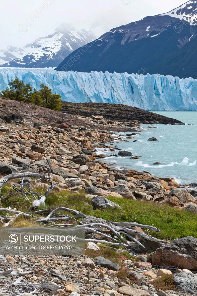 Glacial ice from the Perito Moreno Glacier at the lake of Lago Argentino, Santa Cruz region, Patagonia, Argentina, South America, America
