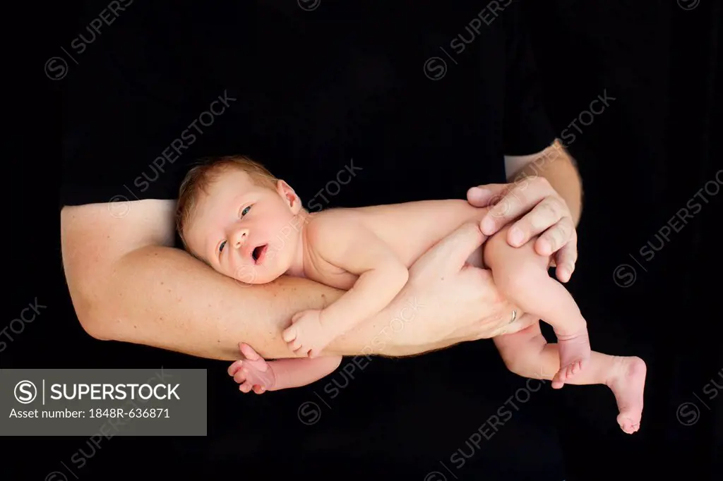 Newborn baby, two weeks old, on the father's arm
