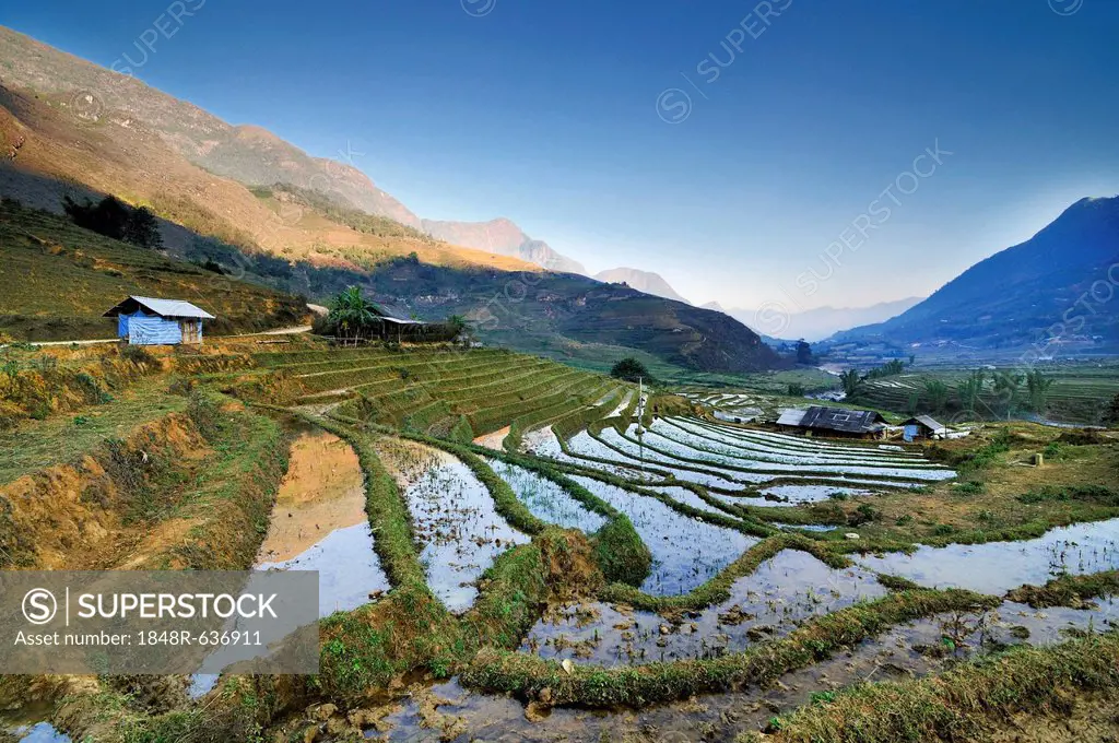 Irrigated rice terraces, rice paddies in Sapa or Sa Pa, Lao Cai province, northern Vietnam, Vietnam, Southeast Asia, Asia