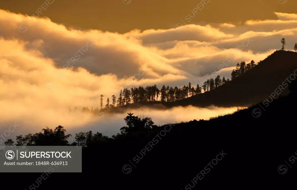 Early morning with cloud sea in the mountains in Sapa or Sa Pa, Lao Cai province, northern Vietnam, Vietnam, Southeast Asia, Asia