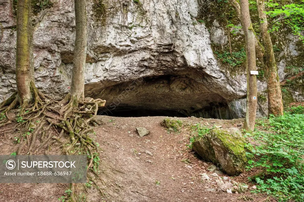 Pekarna cave, National natural monument, Moravsky Kras, Moravian Karst, Southern Moravia region, Czech Republic, Europe