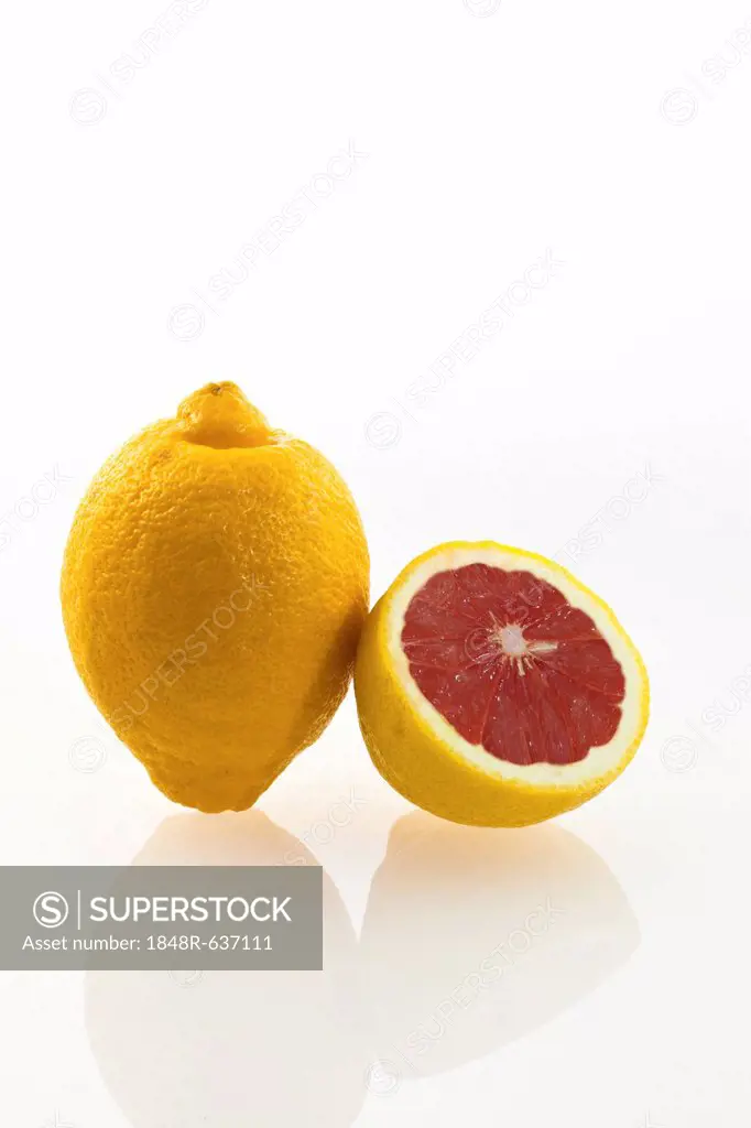 Symbolic image, genetically modified lemon, lemon with genes of a grapefruit