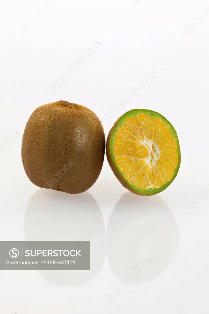 Genetically modified kiwi fruit, kiwi fruit with genes of an orange