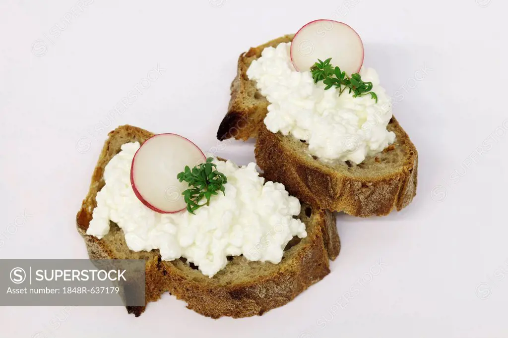 Crusty bread with cream cheese, radish and garden cress
