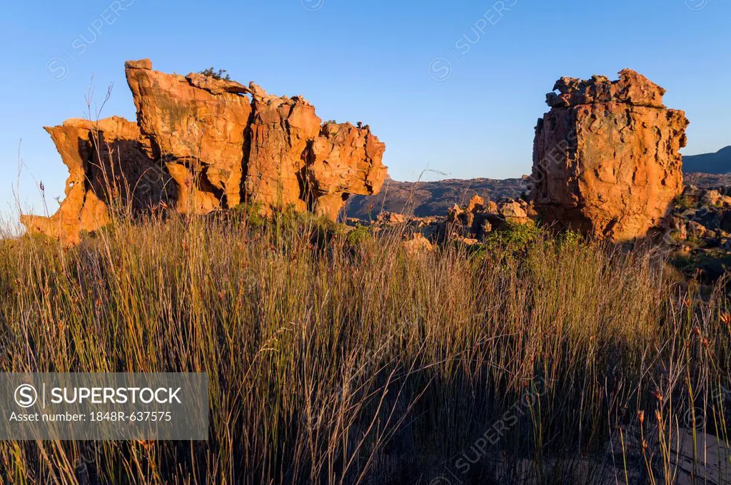 Rock formations, Cederberg mountains, Western Cape, South Africa, Africa